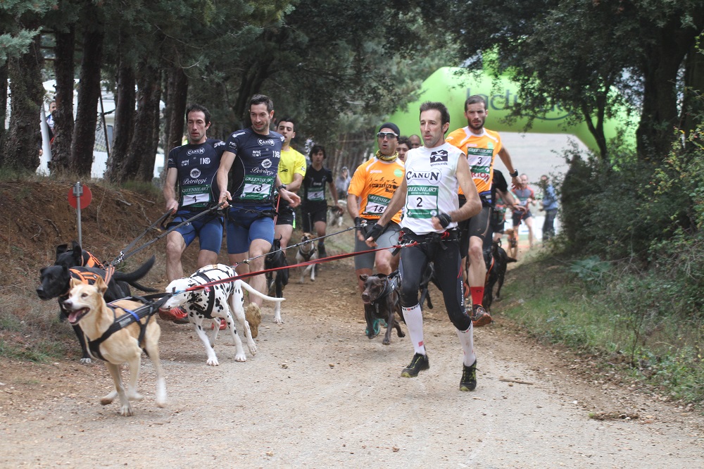 Resultados Campeonato Vasco-Navarro de Mushing